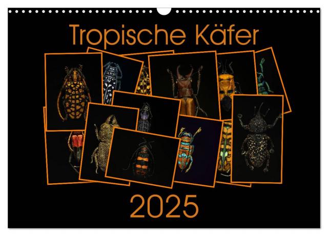 Tropische Käfer (Wandkalender 2025 DIN A3 quer), CALVENDO Monatskalender