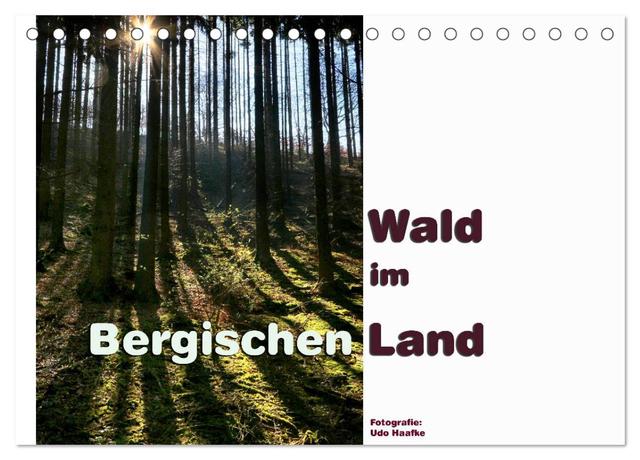Wald im Bergischen Land 2025 (Tischkalender 2025 DIN A5 quer), CALVENDO Monatskalender