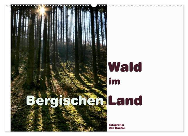 Wald im Bergischen Land 2025 (Wandkalender 2025 DIN A2 quer), CALVENDO Monatskalender