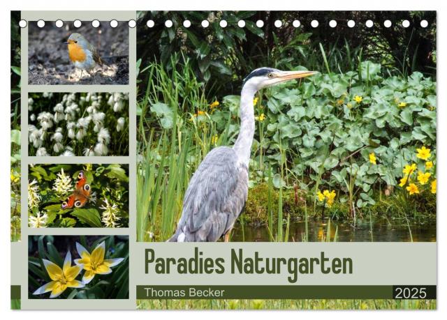 Paradies Naturgarten (Tischkalender 2025 DIN A5 quer), CALVENDO Monatskalender