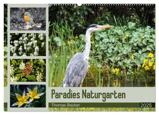 Paradies Naturgarten (Wandkalender 2025 DIN A2 quer), CALVENDO Monatskalender
