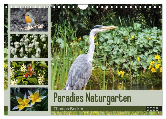 Paradies Naturgarten (Wandkalender 2025 DIN A4 quer), CALVENDO Monatskalender