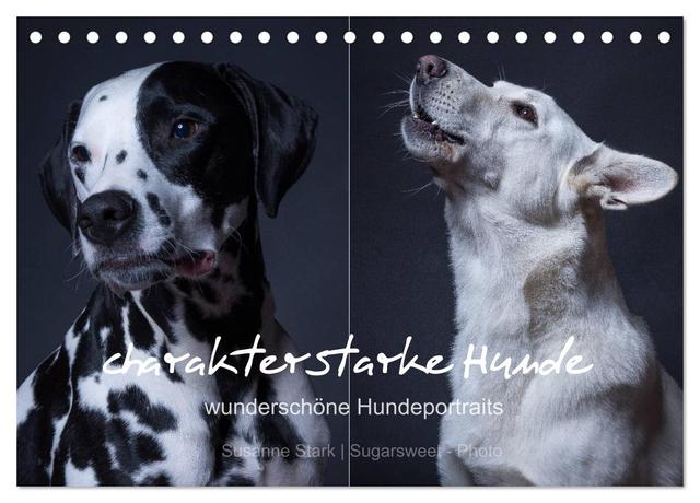 charakterstarke Hunde, wunderschöne Hundeportraits (Tischkalender 2025 DIN A5 quer), CALVENDO Monatskalender