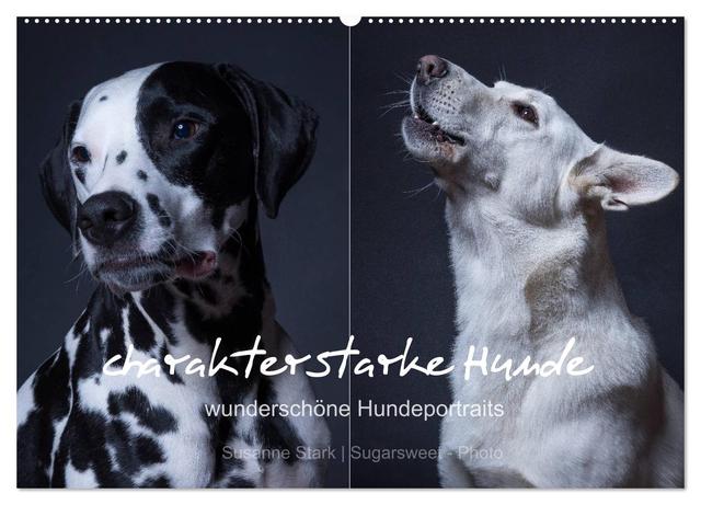 charakterstarke Hunde, wunderschöne Hundeportraits (Wandkalender 2025 DIN A2 quer), CALVENDO Monatskalender