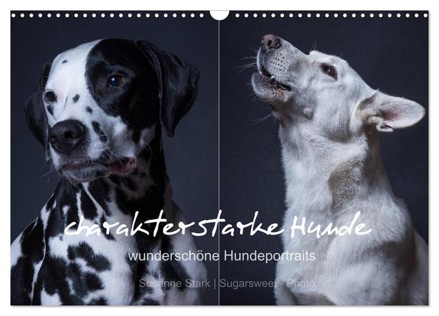 charakterstarke Hunde, wunderschöne Hundeportraits (Wandkalender 2025 DIN A3 quer), CALVENDO Monatskalender