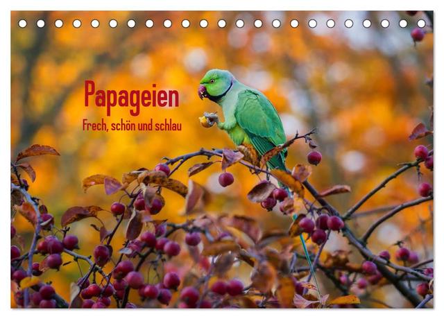 Papageien - Frech, schön und schlau (Tischkalender 2025 DIN A5 quer), CALVENDO Monatskalender