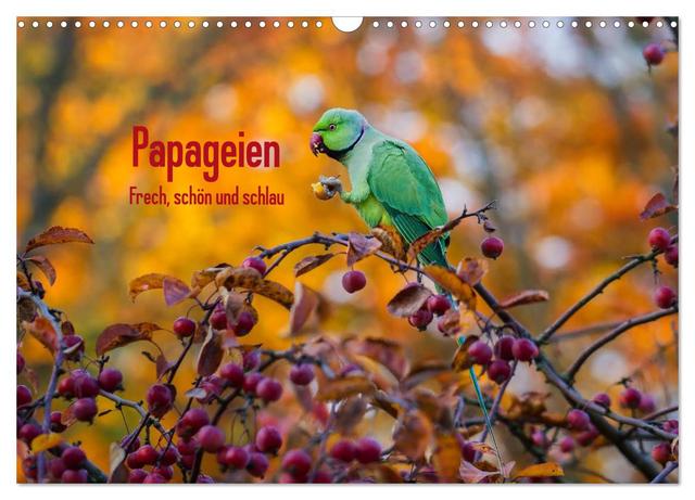 Papageien - Frech, schön und schlau (Wandkalender 2025 DIN A3 quer), CALVENDO Monatskalender