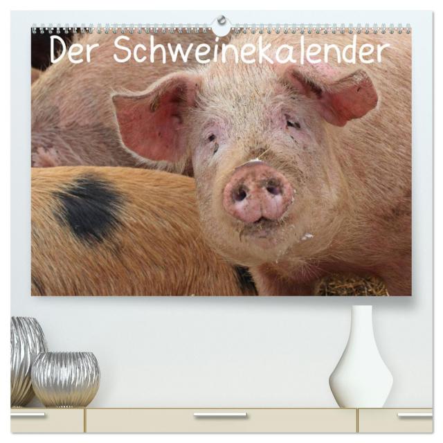 Der Schweinekalender (hochwertiger Premium Wandkalender 2025 DIN A2 quer), Kunstdruck in Hochglanz