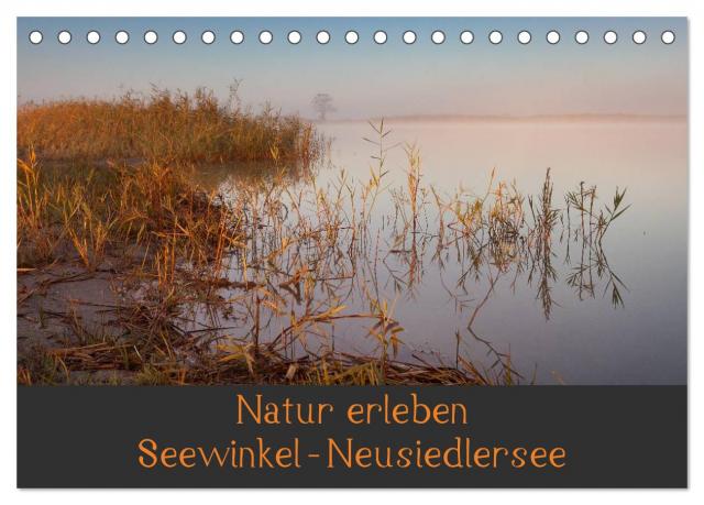 Natur erleben Seewinkel-Neusiedlersee (Tischkalender 2025 DIN A5 quer), CALVENDO Monatskalender