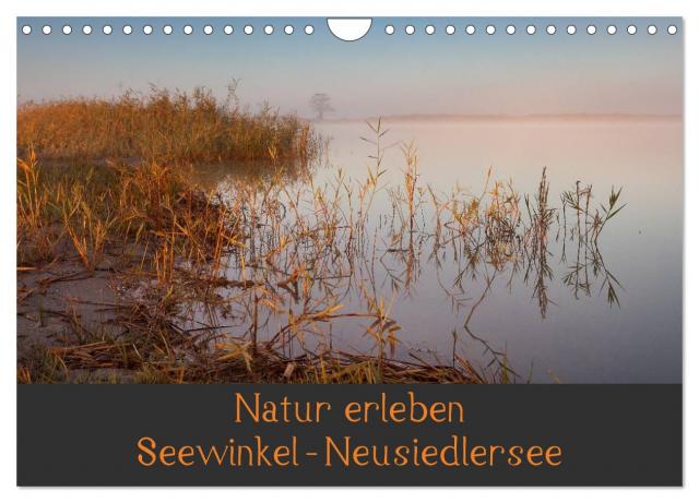 Natur erleben Seewinkel-Neusiedlersee (Wandkalender 2025 DIN A4 quer), CALVENDO Monatskalender