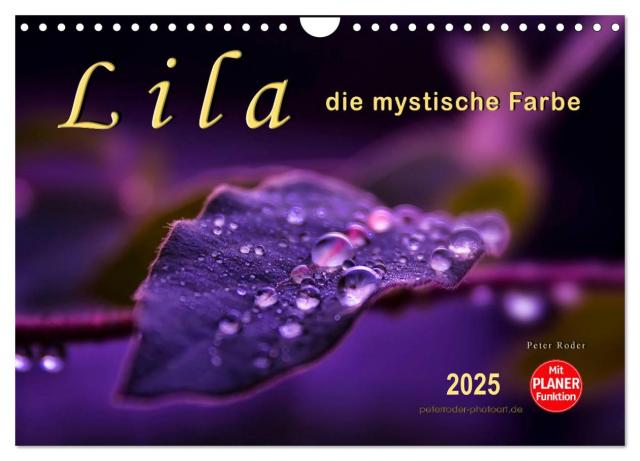 Lila - die mystische Farbe (Wandkalender 2025 DIN A4 quer), CALVENDO Monatskalender