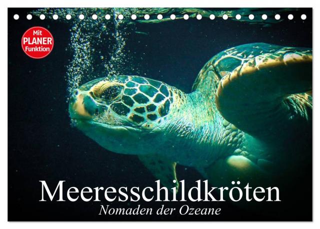Meeresschildkröten. Nomaden der Ozeane (Tischkalender 2025 DIN A5 quer), CALVENDO Monatskalender