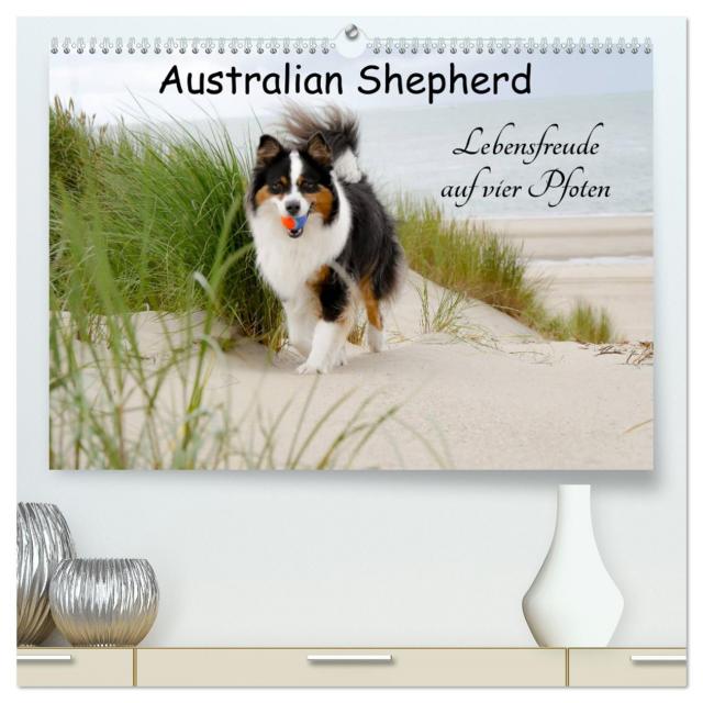 Australian Shepherd - Lebensfreude auf vier Pfoten (hochwertiger Premium Wandkalender 2025 DIN A2 quer), Kunstdruck in Hochglanz