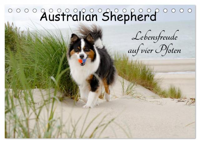 Australian Shepherd - Lebensfreude auf vier Pfoten (Tischkalender 2025 DIN A5 quer), CALVENDO Monatskalender