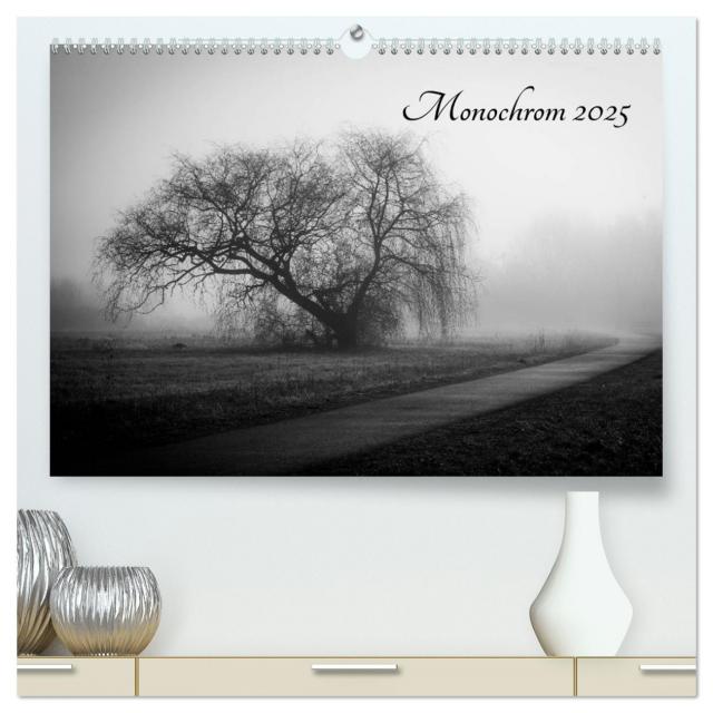Monochrom 2025 (hochwertiger Premium Wandkalender 2025 DIN A2 quer), Kunstdruck in Hochglanz