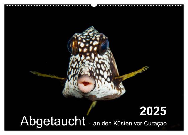 Abgetaucht - an den Küsten vor Curaçao (Wandkalender 2025 DIN A2 quer), CALVENDO Monatskalender