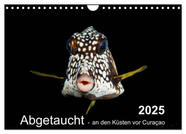 Abgetaucht - an den Küsten vor Curaçao (Wandkalender 2025 DIN A4 quer), CALVENDO Monatskalender