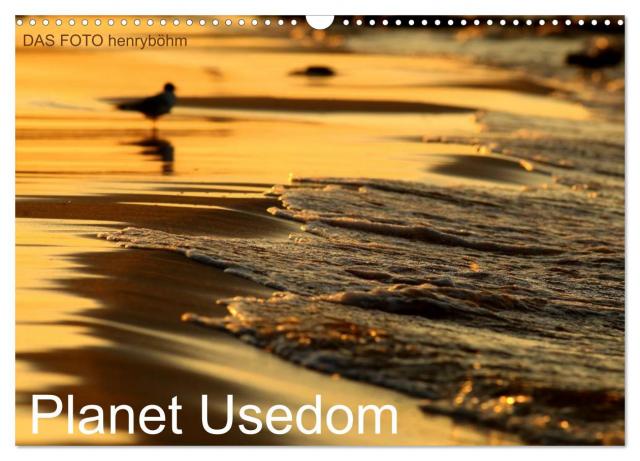 Planet Usedom (Wandkalender 2025 DIN A3 quer), CALVENDO Monatskalender