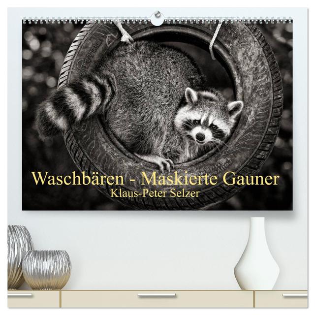 Waschbären - Maskierte Gauner (hochwertiger Premium Wandkalender 2025 DIN A2 quer), Kunstdruck in Hochglanz