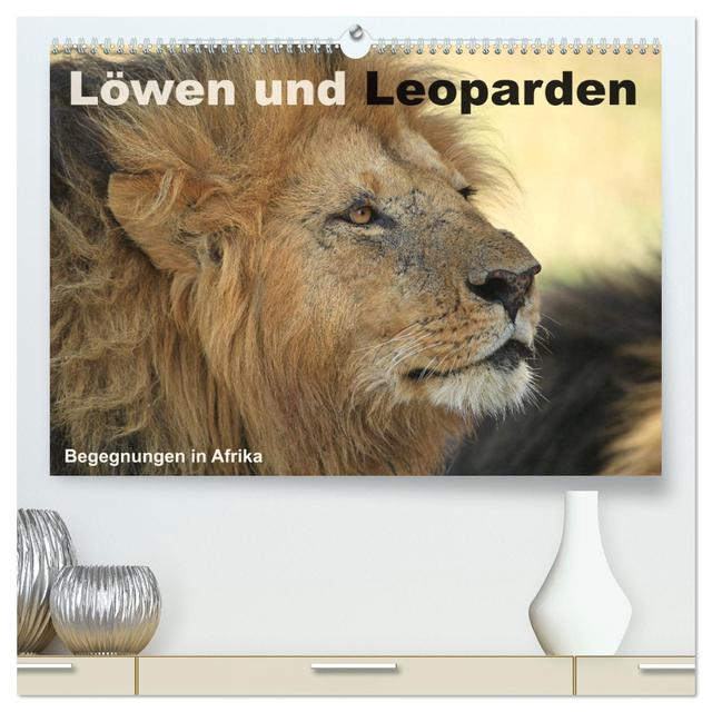 Löwen und Leoparden - Begegnungen in Afrika (hochwertiger Premium Wandkalender 2025 DIN A2 quer), Kunstdruck in Hochglanz