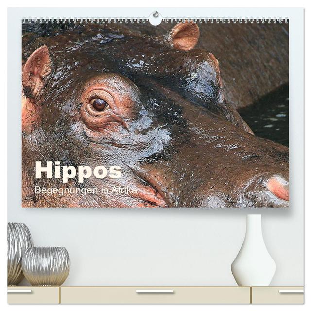 Hippos - Begegnungen in Afrika (hochwertiger Premium Wandkalender 2025 DIN A2 quer), Kunstdruck in Hochglanz