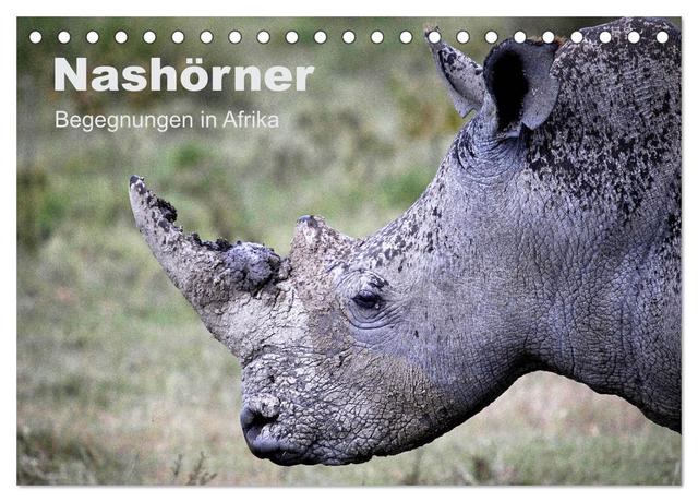 Nashörner - Begegnungen in Afrika (Tischkalender 2025 DIN A5 quer), CALVENDO Monatskalender