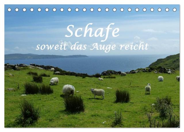 Schafe - soweit das Auge reicht (Tischkalender 2025 DIN A5 quer), CALVENDO Monatskalender