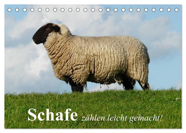 Schafe zählen leicht gemacht! (Tischkalender 2025 DIN A5 quer), CALVENDO Monatskalender