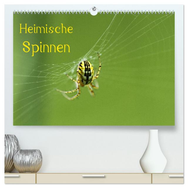 Heimische Spinnen (hochwertiger Premium Wandkalender 2025 DIN A2 quer), Kunstdruck in Hochglanz