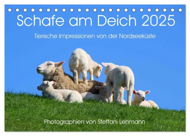 Schafe am Deich 2025. Tierische Impressionen von der Nordseeküste (Tischkalender 2025 DIN A5 quer), CALVENDO Monatskalender
