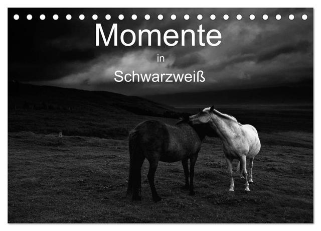 Momente in Schwarzweiß (Tischkalender 2025 DIN A5 quer), CALVENDO Monatskalender