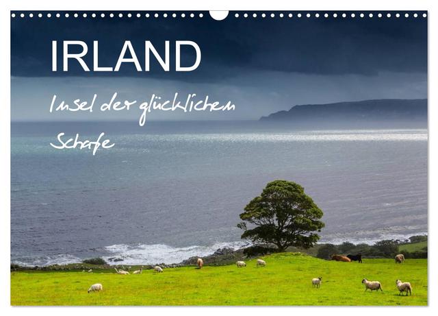 IRLAND - Insel der glücklichen Schafe (Wandkalender 2025 DIN A3 quer), CALVENDO Monatskalender