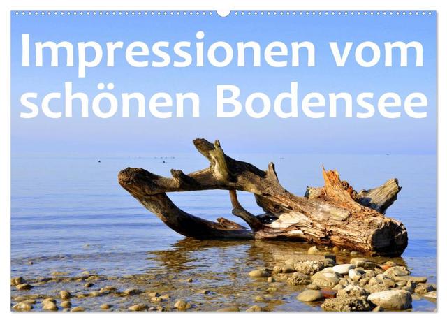 Impressionen vom schönen Bodensee (Wandkalender 2025 DIN A2 quer), CALVENDO Monatskalender