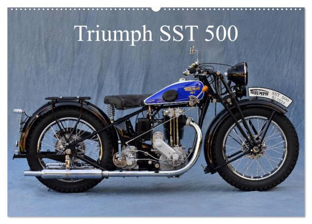 Triumph SST 500 (Wandkalender 2025 DIN A2 quer), CALVENDO Monatskalender