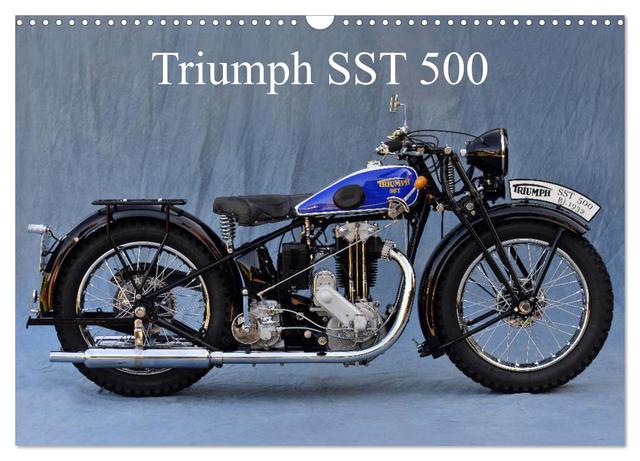 Triumph SST 500 (Wandkalender 2025 DIN A3 quer), CALVENDO Monatskalender