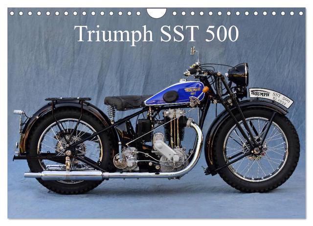 Triumph SST 500 (Wandkalender 2025 DIN A4 quer), CALVENDO Monatskalender