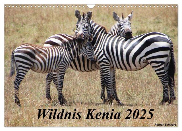 Wildnis Kenia 2025 (Wandkalender 2025 DIN A3 quer), CALVENDO Monatskalender