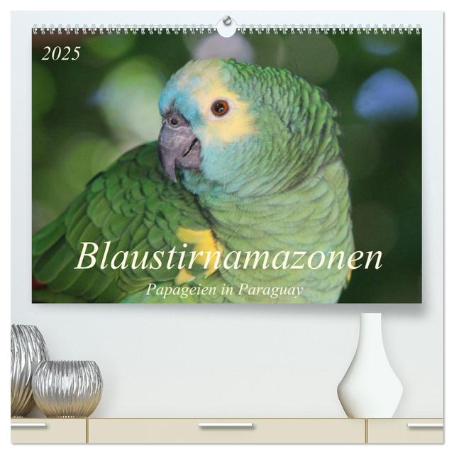 Blaustirnamazonen - Papageien in Paraguay (hochwertiger Premium Wandkalender 2025 DIN A2 quer), Kunstdruck in Hochglanz