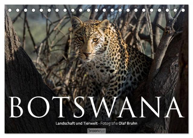 Botswana – Landschaft und Tierwelt (Tischkalender 2025 DIN A5 quer), CALVENDO Monatskalender