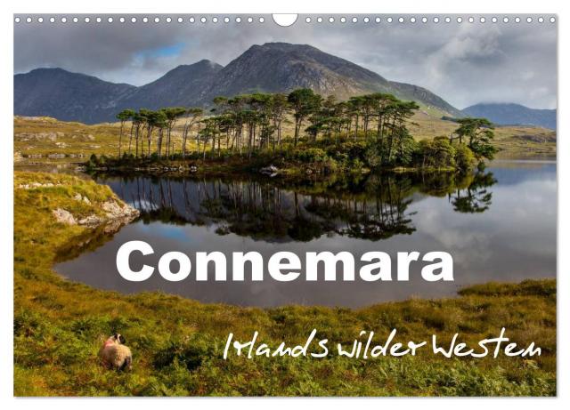 Connemara - Irlands wilder Westen (Wandkalender 2025 DIN A3 quer), CALVENDO Monatskalender