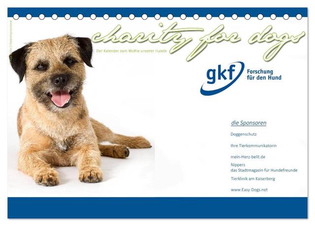 Charity for Dogs - der Kalender zum Wohle unserer Hunde (Tischkalender 2025 DIN A5 quer), CALVENDO Monatskalender