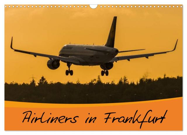 Airliners in Frankfurt (Wandkalender 2025 DIN A3 quer), CALVENDO Monatskalender