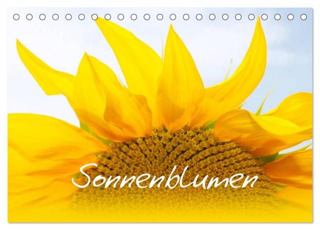 Sonnenblumen - die Blumen der Lebensfreude (Tischkalender 2025 DIN A5 quer), CALVENDO Monatskalender