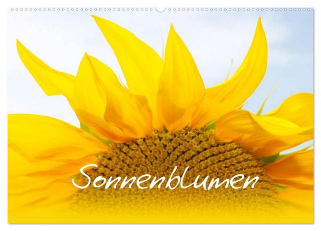Sonnenblumen - die Blumen der Lebensfreude (Wandkalender 2025 DIN A2 quer), CALVENDO Monatskalender