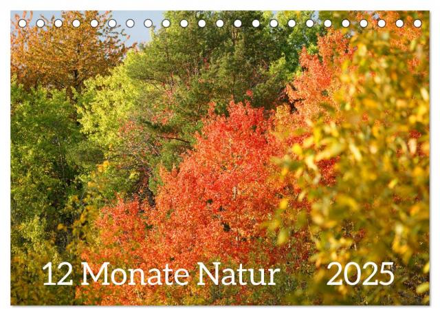 12 Monate Natur (Tischkalender 2025 DIN A5 quer), CALVENDO Monatskalender
