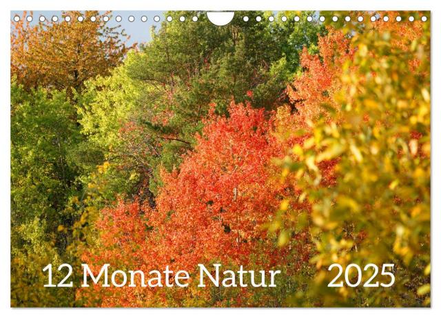12 Monate Natur (Wandkalender 2025 DIN A4 quer), CALVENDO Monatskalender