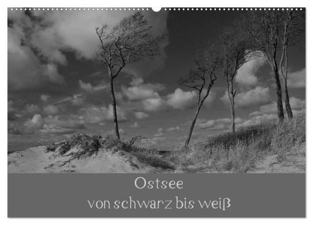 Ostsee - von schwarz bis weiß (Wandkalender 2025 DIN A2 quer), CALVENDO Monatskalender