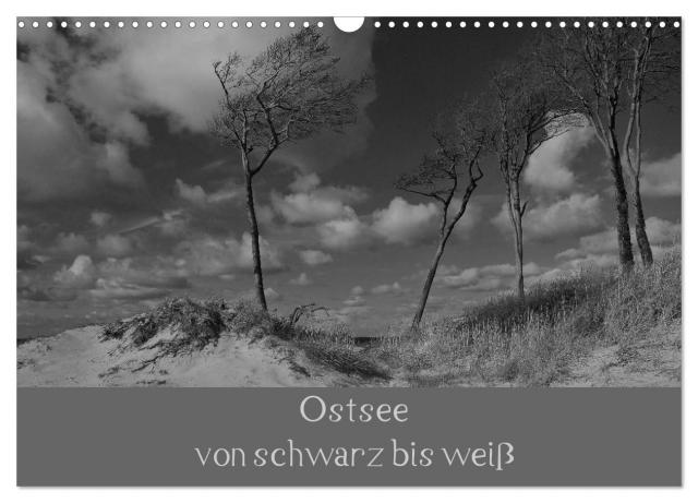 Ostsee - von schwarz bis weiß (Wandkalender 2025 DIN A3 quer), CALVENDO Monatskalender