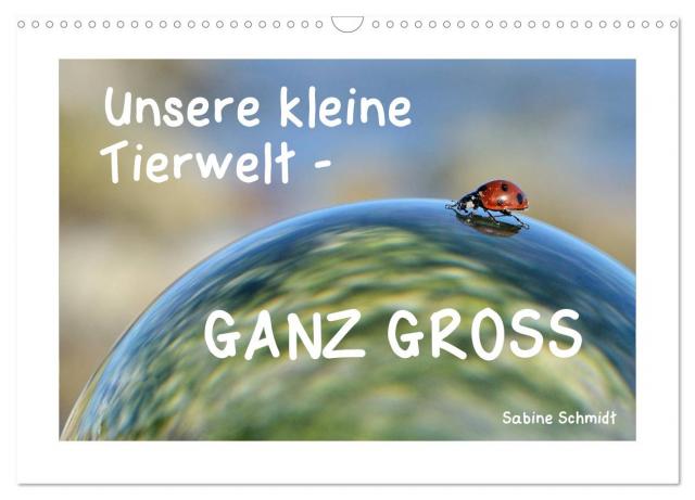 Unsere kleine Tierwelt - GANZ GROSS (Wandkalender 2025 DIN A3 quer), CALVENDO Monatskalender