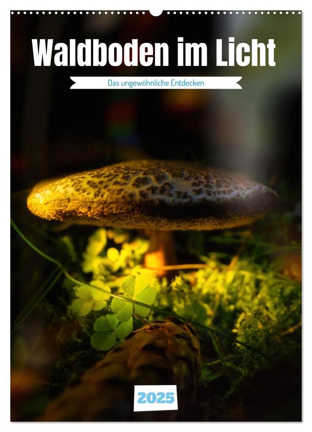 Waldboden im Licht (Wandkalender 2025 DIN A2 hoch), CALVENDO Monatskalender